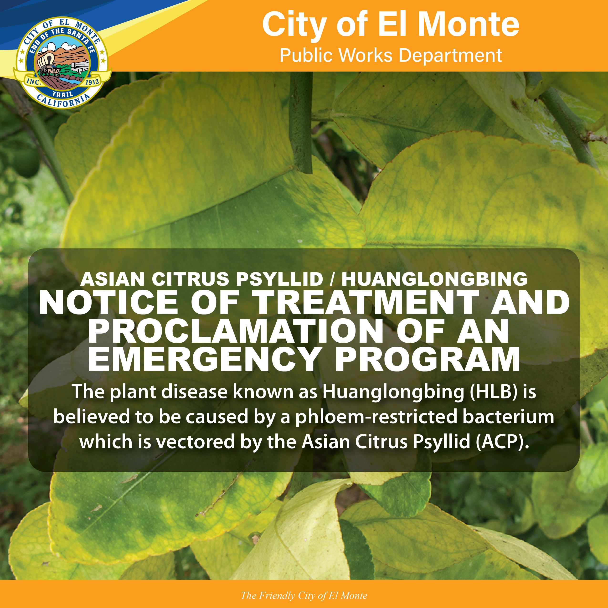 flyer - Pot Hole Blitz 02012021_08-01